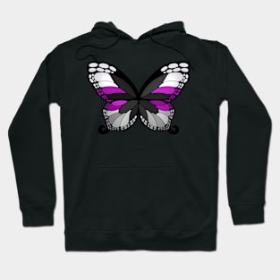 Butterfly Wings Demi Pride Flag Hoodie